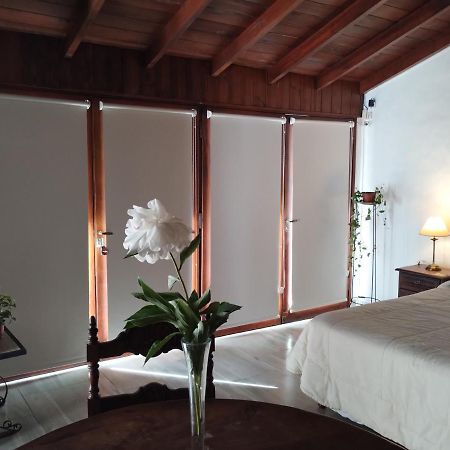 Cabana Monoambiente De Descanso Y Relax En Zona Barrio La Florida Pet Friendly Mar del Plata Dış mekan fotoğraf